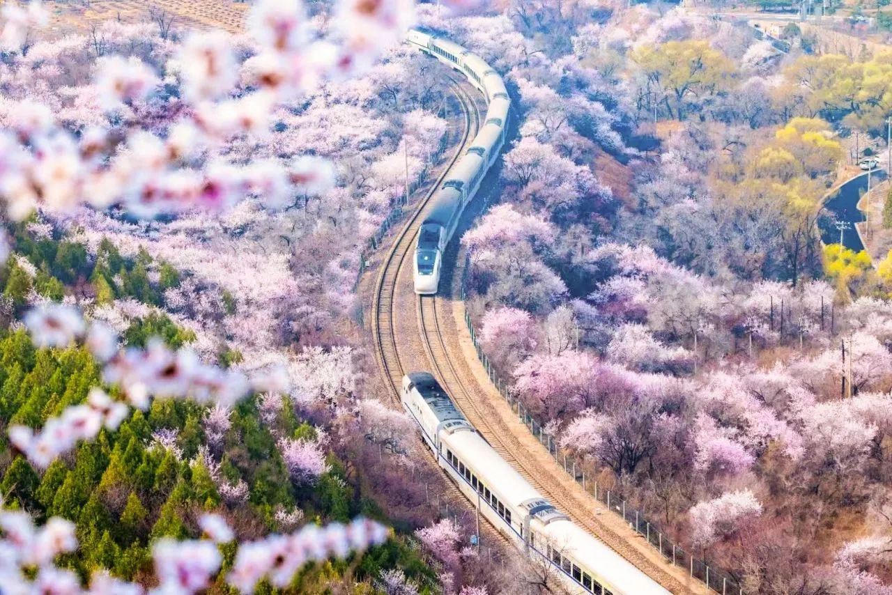 畅享吃住游购居庸关花海赏花游攻略