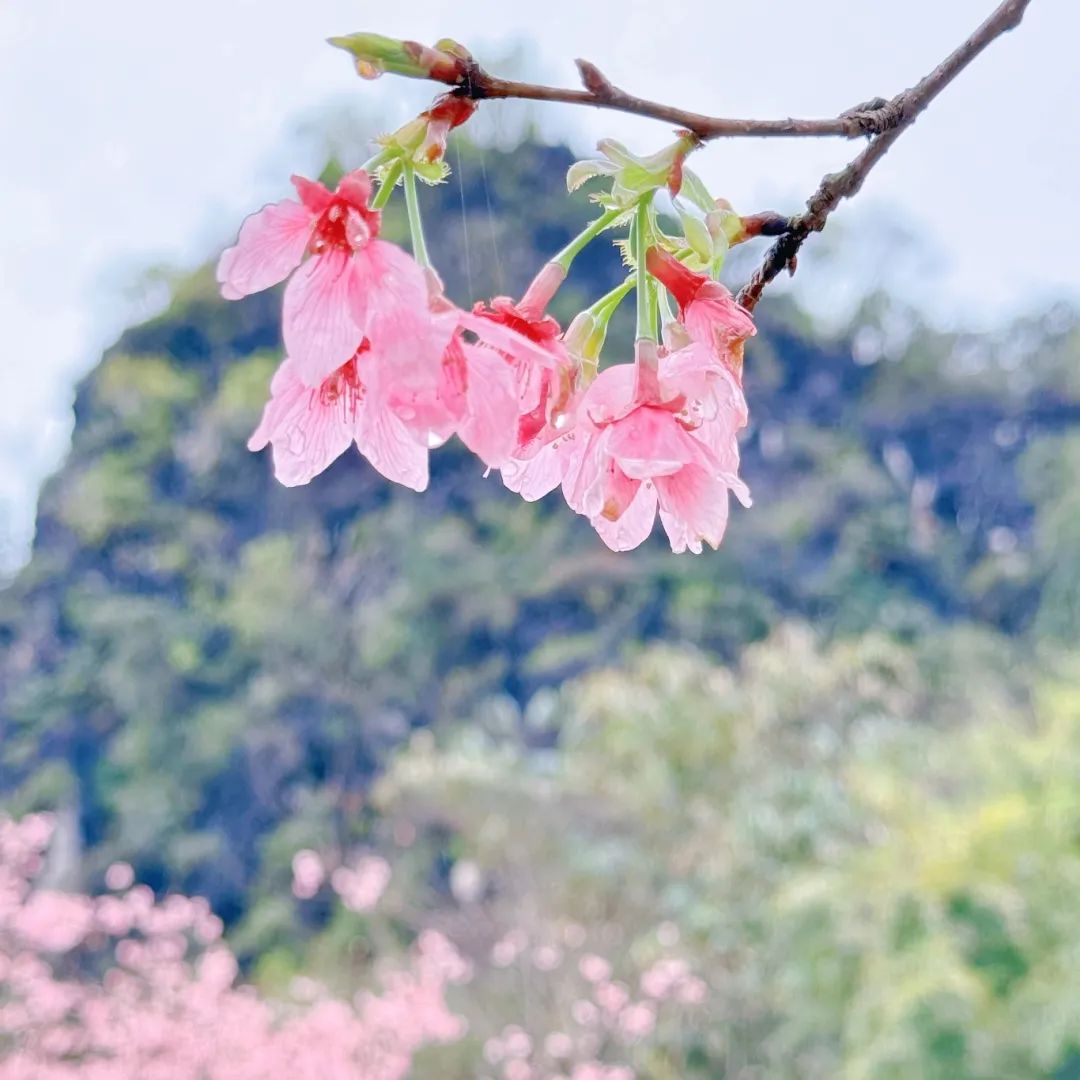 广州市_新浪财经_新浪网