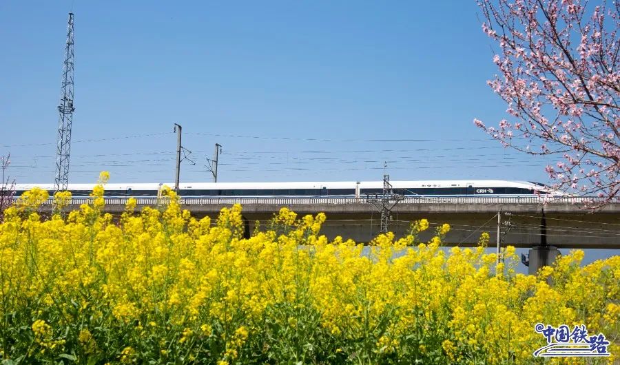 京广高铁上，动车组驶过油菜花、桃花盛开的田野。谢建强 摄