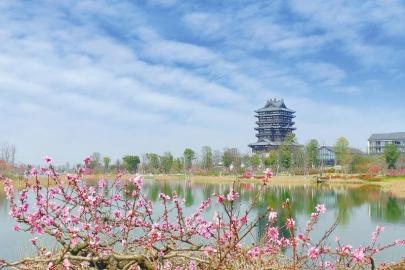 春到东安湖|成都市_新浪财经_新浪网