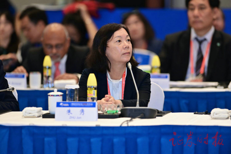 发言嘉宾:丝路基金董事长朱隽.