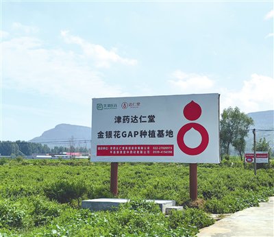 助力健康消费提质升级 推进中医药现代化转型发展做创