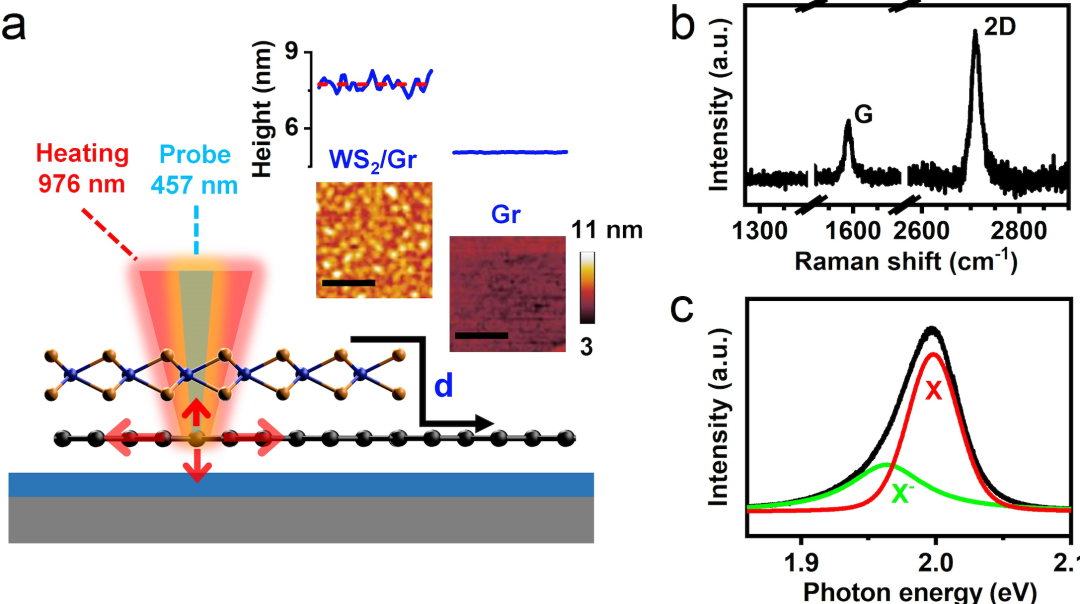 图丨应用双光束拉曼与光致荧光光谱法测量 WS2/Gr 异质结层间热导率（来源：Advanced Materials）