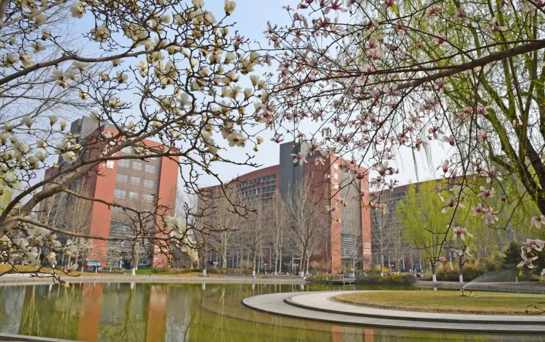 楼宇映春,春意盎然这是北工大的"花样年华"萌芽绽放,百花盛开花有约