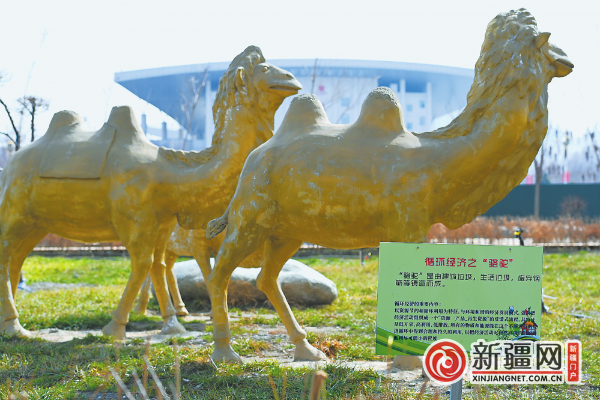 【绿水青山就是金山银山 | 践行绿色发展理念 建设生