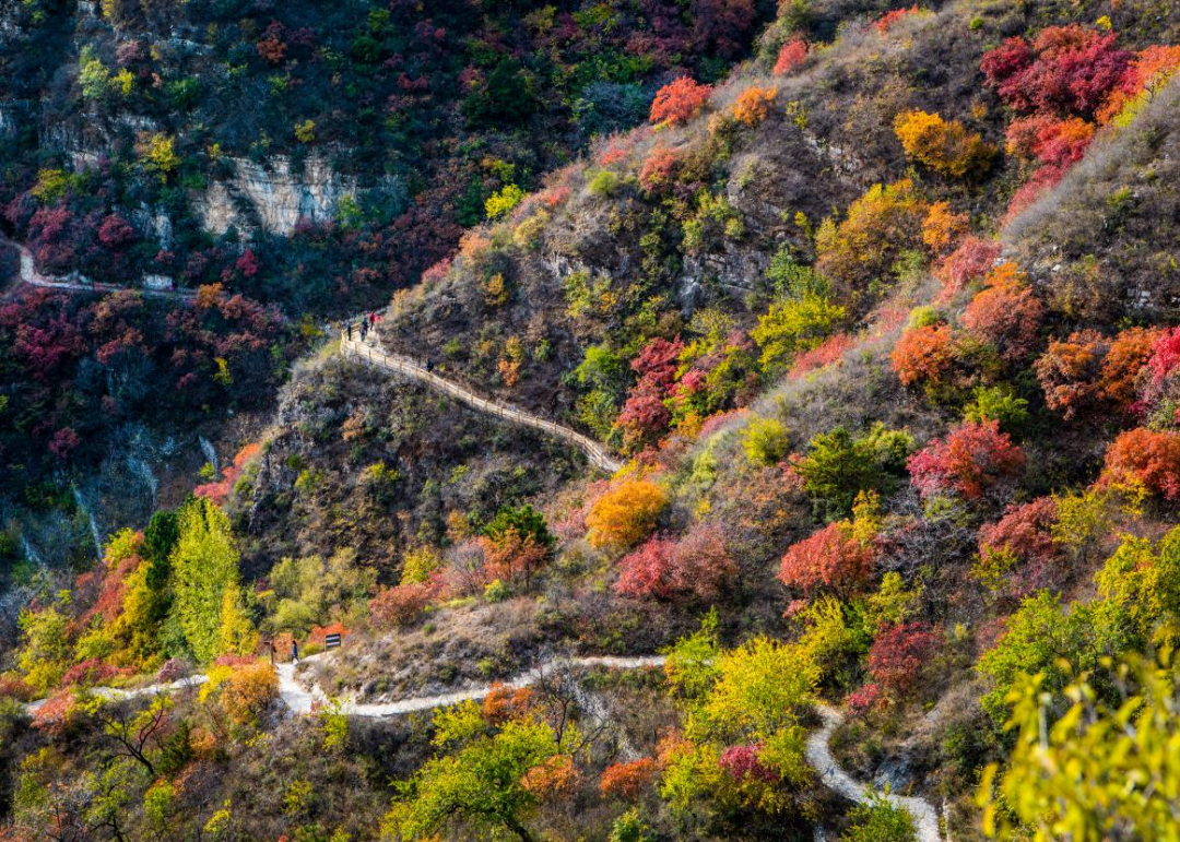 恋乡骑行保定3条赏花线路带您探寻顺平最美春天