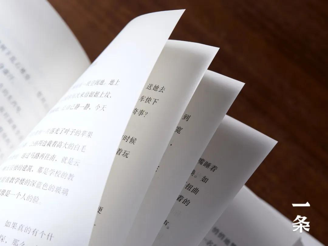 视角亦各不相同,章节之间看似独立,又彼此呼应相接;最终以附记结尾