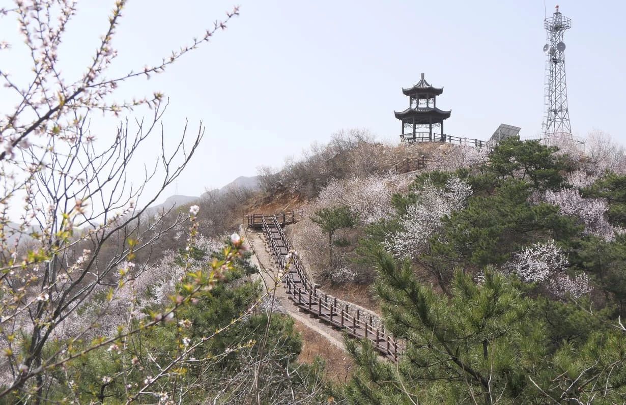 这个春天,一句话让你爱上骑行|北京市_新浪财经_新浪网