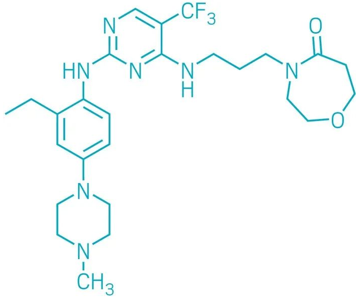 针对难成药靶点,六种创新小分子抗癌药首次亮相|癌