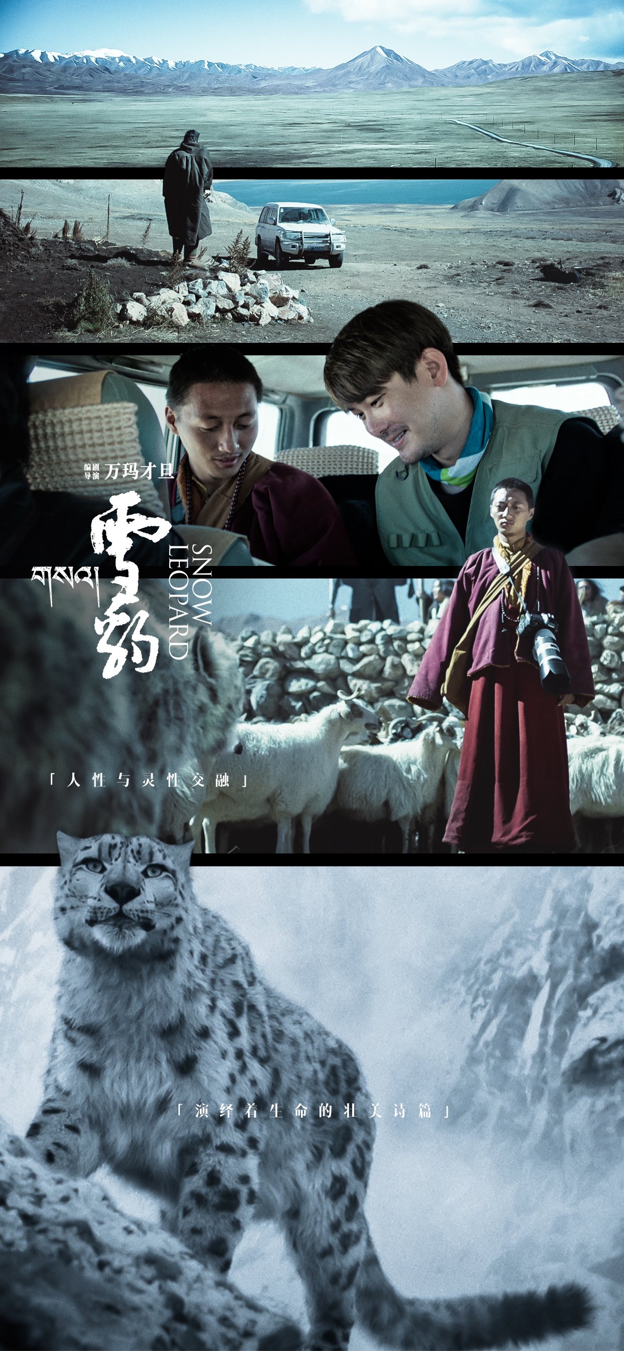 首映|万玛才旦遗作《雪豹》:"艺术生命还在延续"