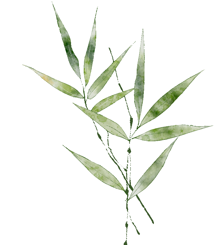 刺入皮肤后很难被拔除,如果处理不当,蜱虫的口器残留在皮肤内,可能会