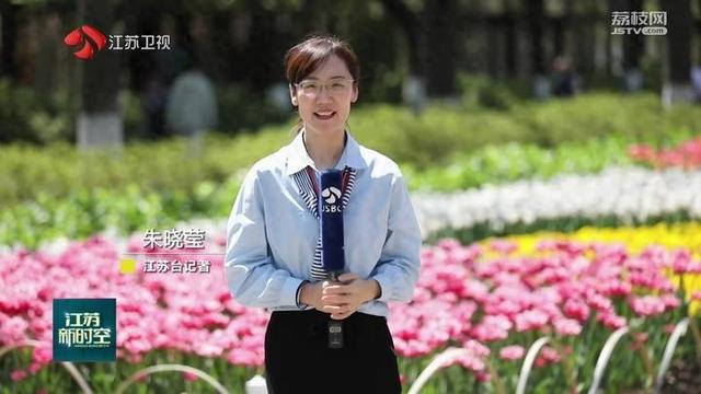 江苏:"赏花游"主题受热捧 清明旅游订单提前翻倍|樱