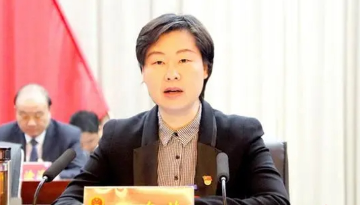她履新市委副书记后再添新职,曾获"全国优秀县委书记"称号|吴海燕_新