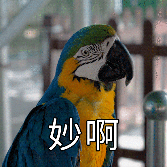 假期快约起来每条路线都好心动交通:广州地铁一号线/二号线公园前站