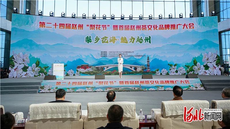 25万亩梨花含苞欲放待客来——第二十四届赵州"梨