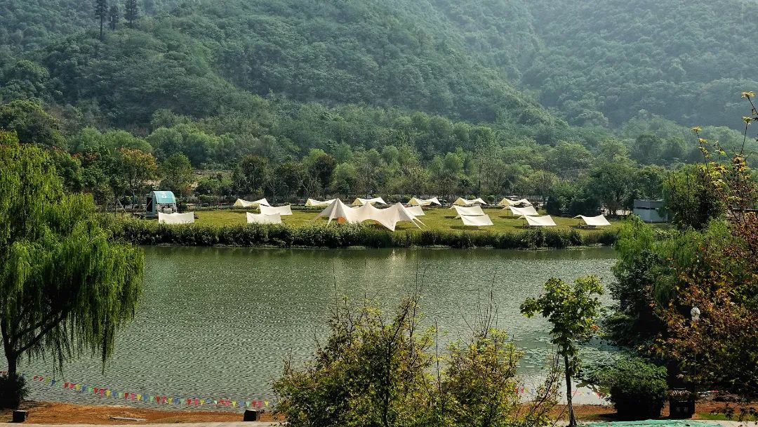 杭州这些绝美大草坪,可以露营啦!打卡攻略收好|杭州市_新浪财经_新浪