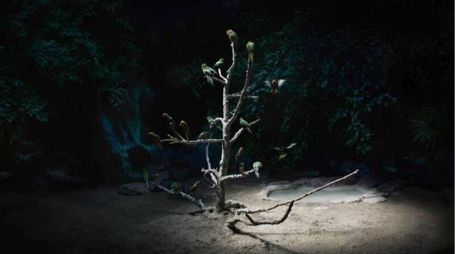 侯帅,《夜莺》142cmx80cm,艺术微喷,2018年"发达虚拟现实时代的抒情