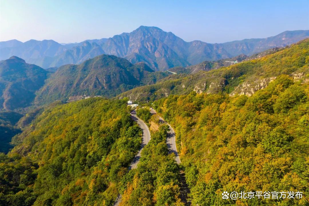 从赏花开始爱上这座城打卡平谷最美赏花地