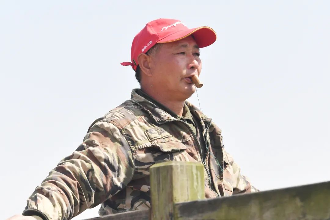 东滩"环志人":给候鸟打个上海"印戳"_新浪财经_新浪网