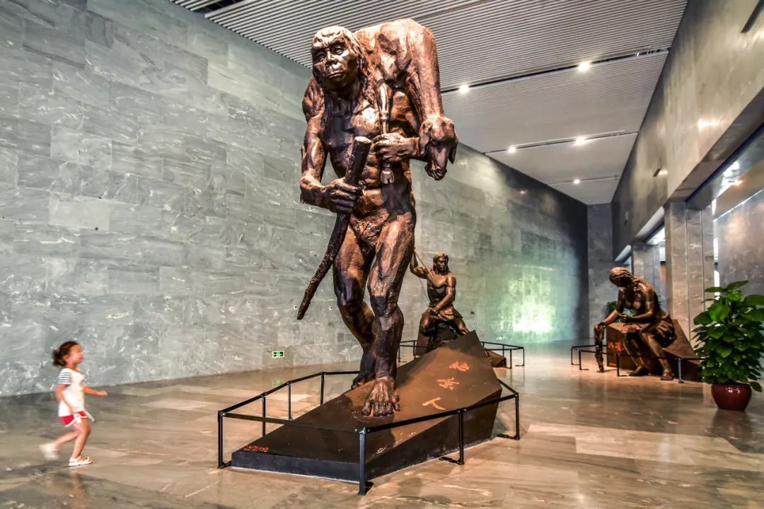 发掘出土代表40多个"北京人"的化石遗骸,10多万件石器,上百种动物化石