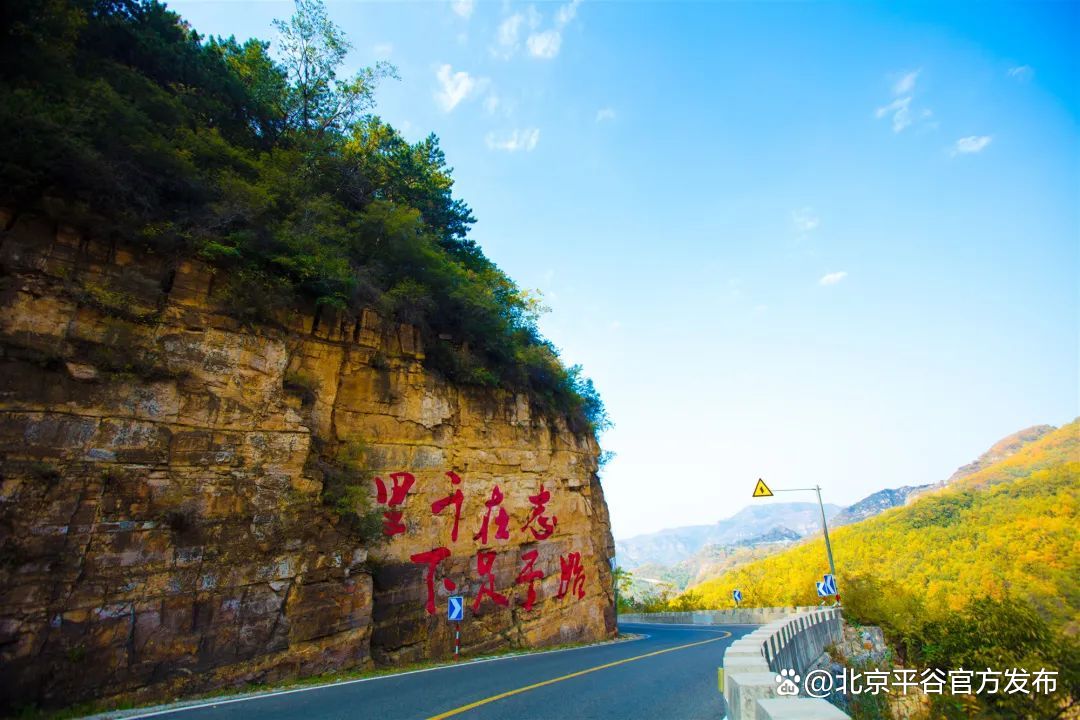 从赏花开始爱上这座城打卡平谷最美赏花地