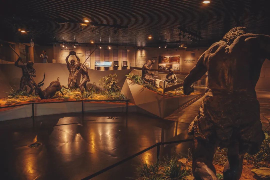 家门口的博物馆|走进周口店遗址博物馆,探寻"北京人"的足迹