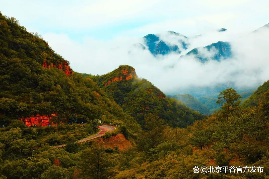 从赏花开始爱上这座城打卡平谷最美赏花地