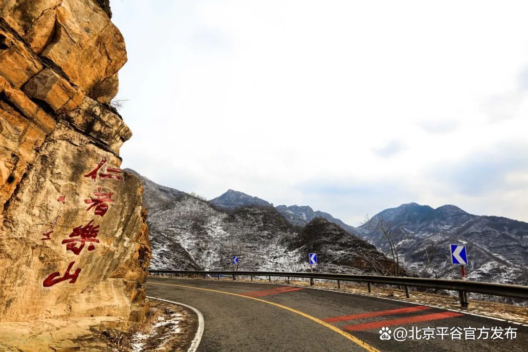 从赏花开始爱上这座城打卡平谷最美赏花地