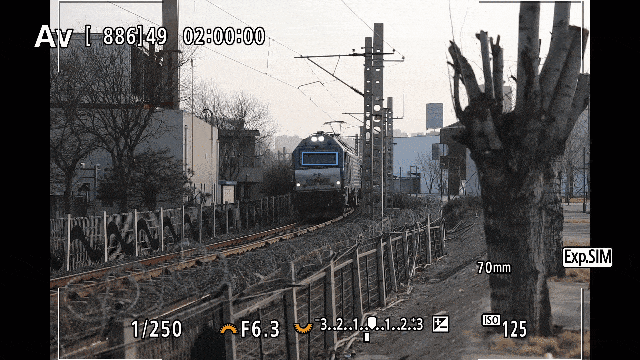 佳能EOS R8的对焦系统可以识别多种主体目标