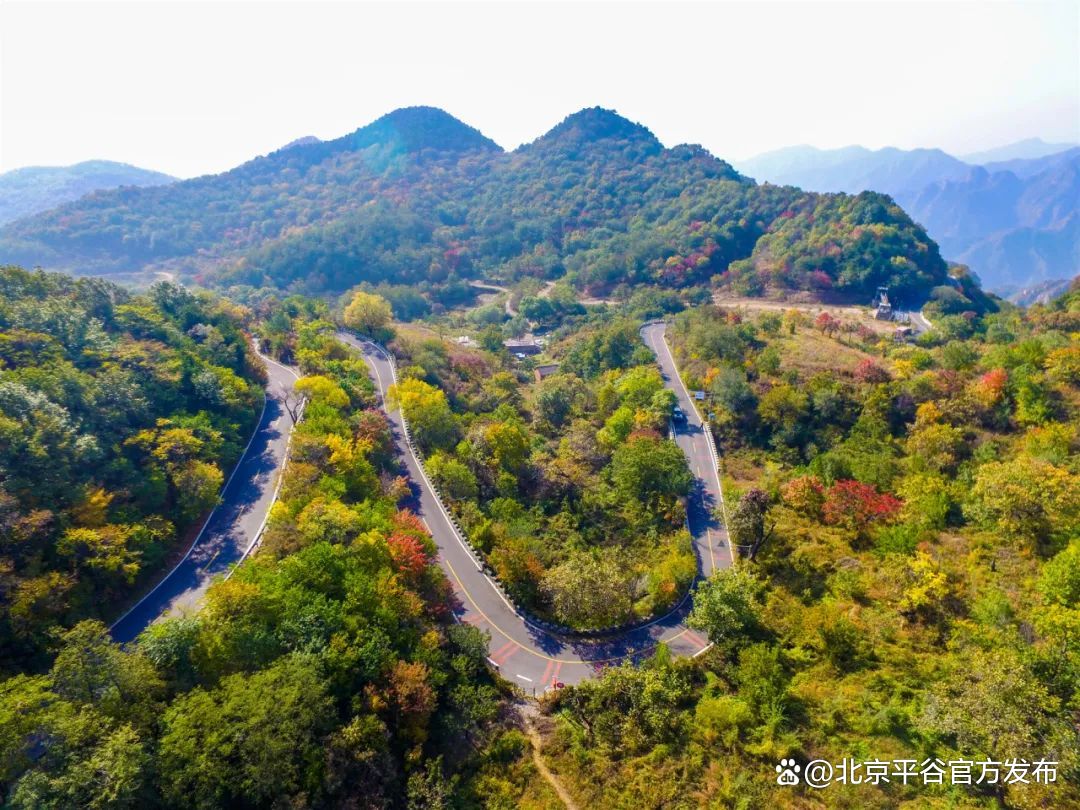 从赏花开始爱上这座城打卡平谷最美赏花地