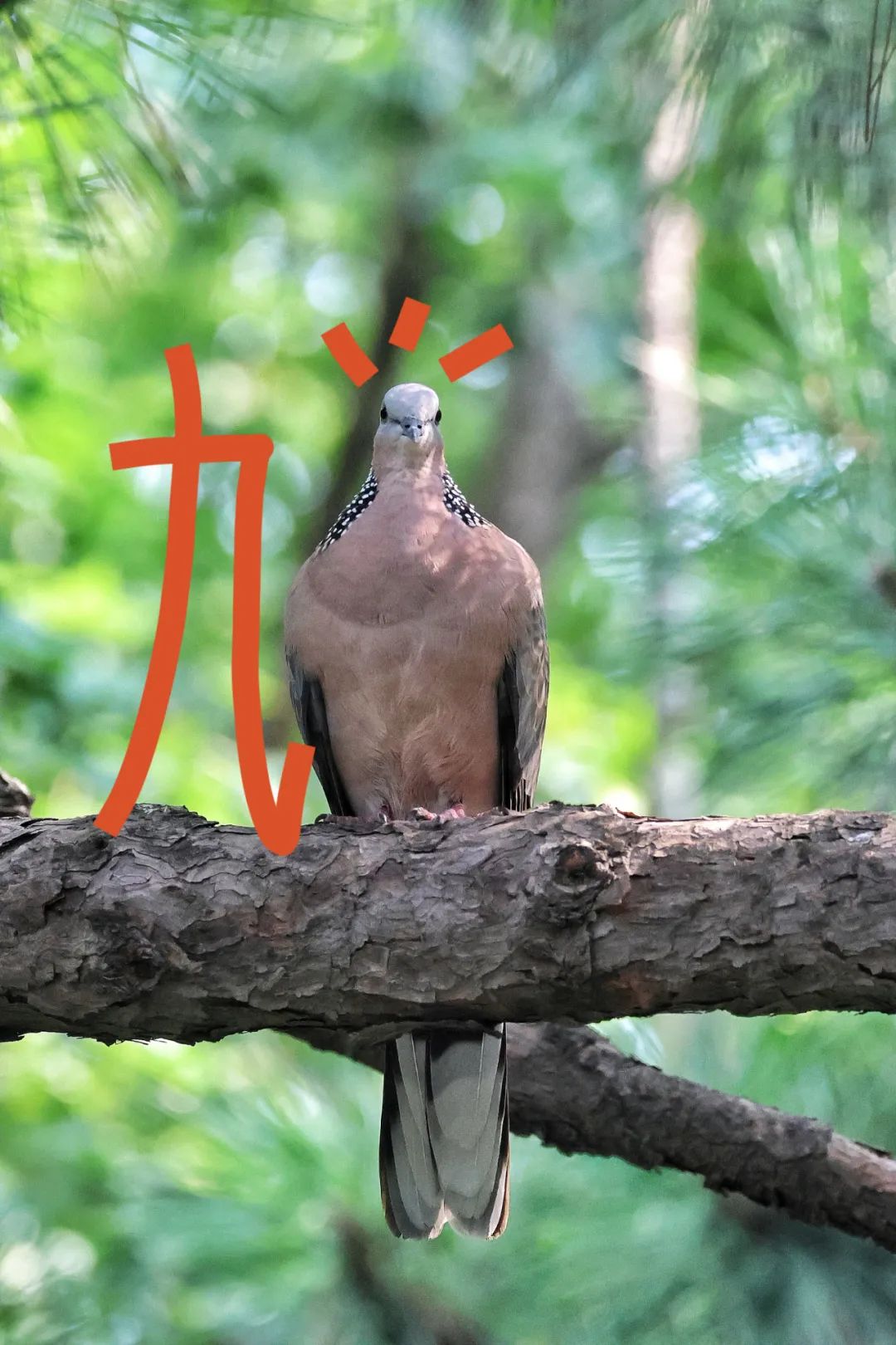 新浪财经_新浪网