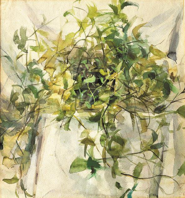 吊兰(水彩)|吊兰_新浪财经_新浪网