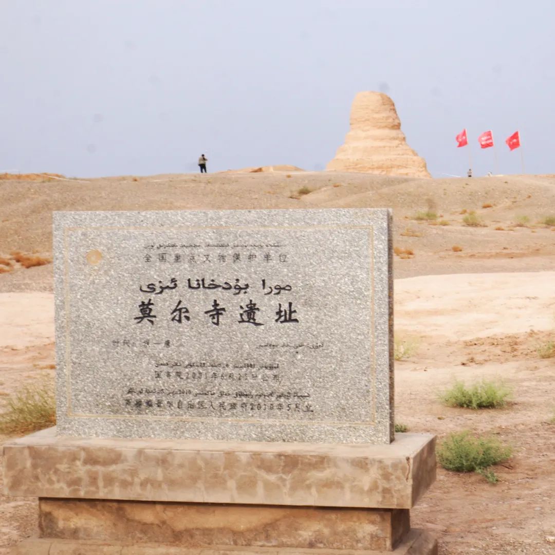 新疆有一个重大发现