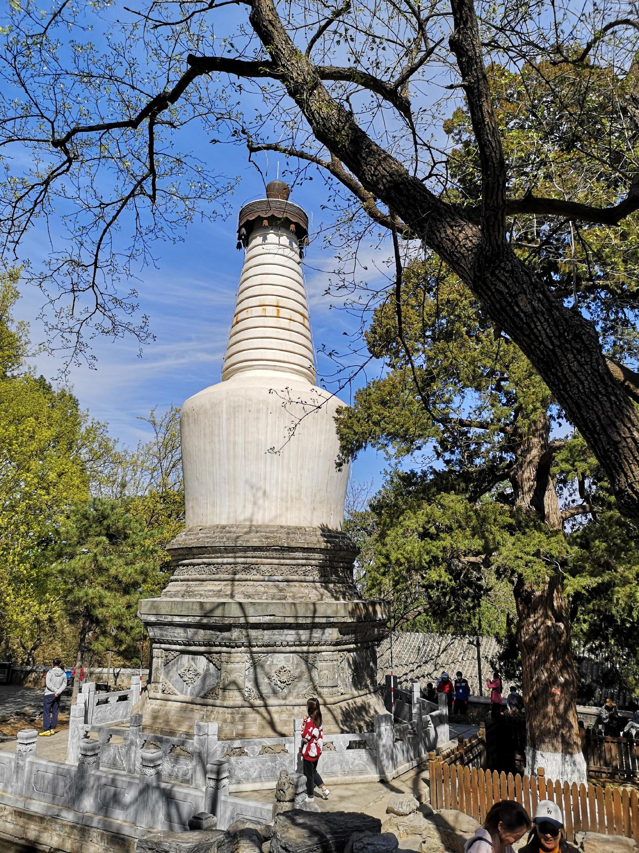 重生之将门千金