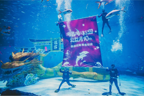 在水族馆里展示本次活动的海报