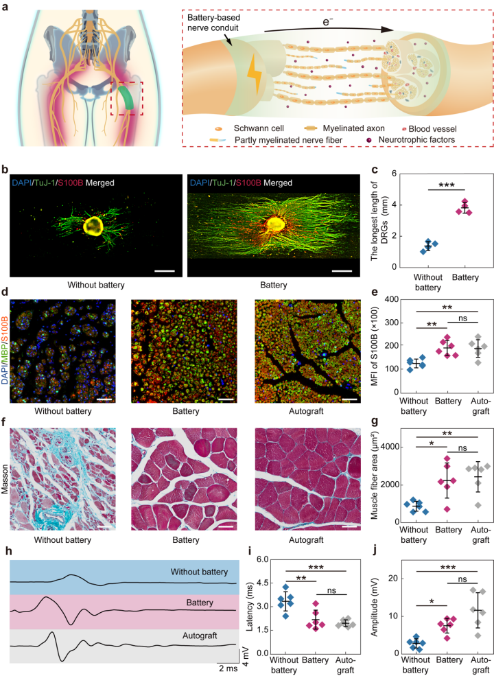 南大团队制备生物匹配的高分子器件实现重大疾病的早期精准检测