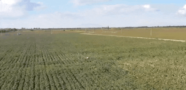 无人机喷洒脱叶剂