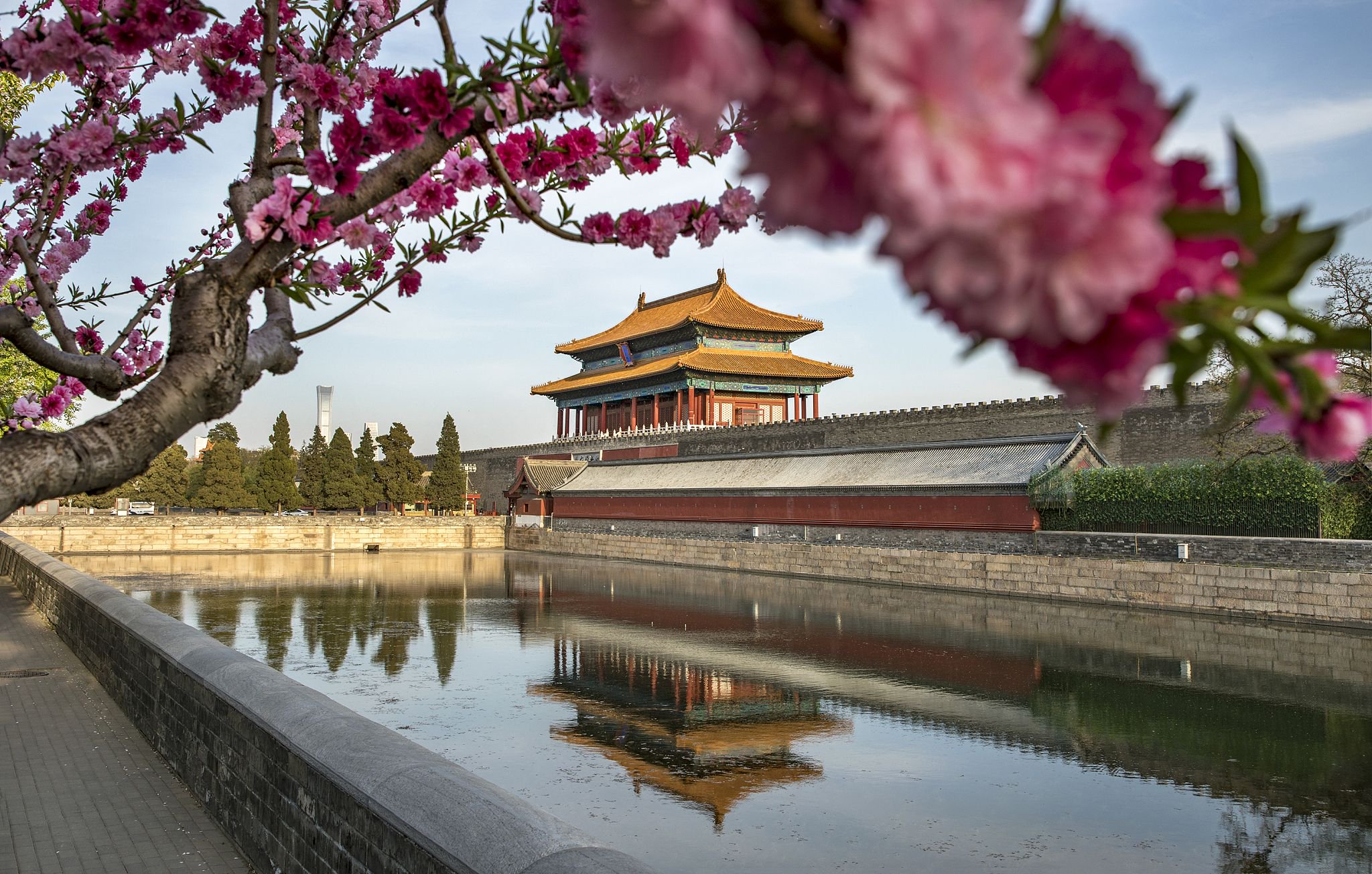 慈宁花园的杏花,东华门外的玉兰,承乾宫里的梨树,武英殿旁的丁香