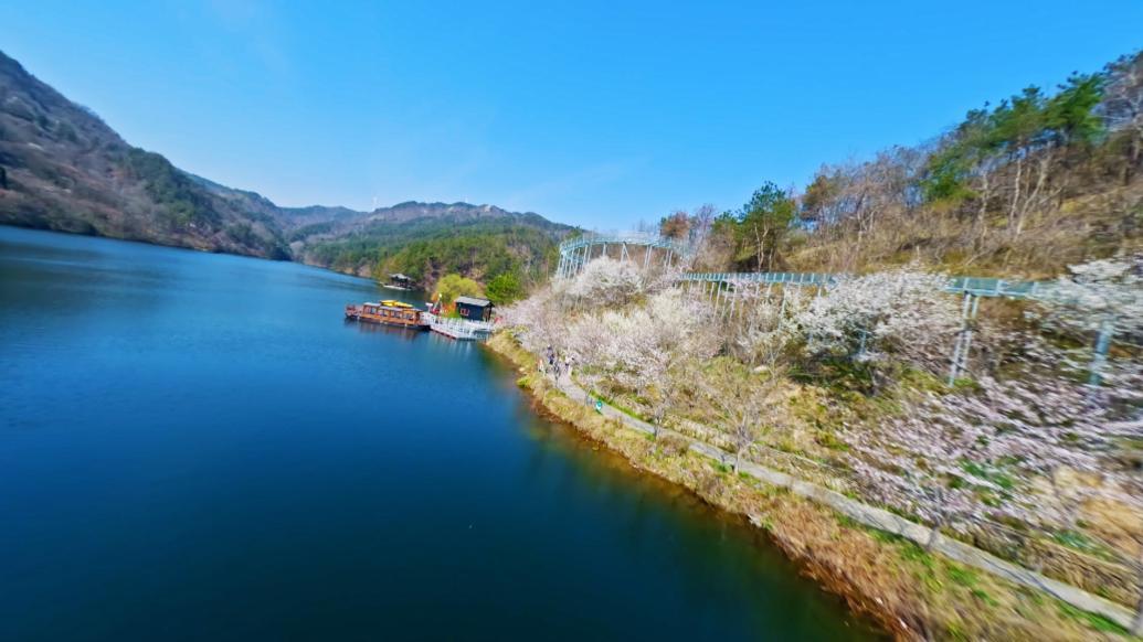 相约春天,一镜到底看武汉清凉寨景区樱花美景
