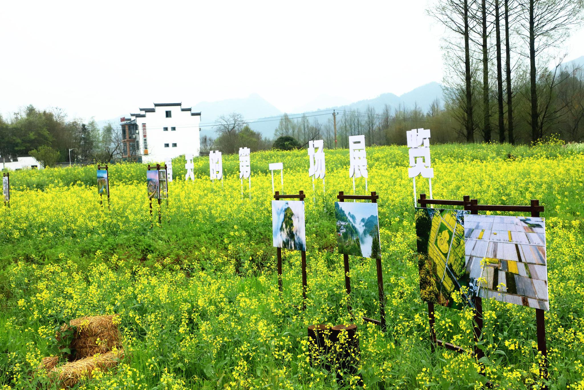 春风五千里,安徽休宁依托摄影产业催生摄影经济_新浪财经_新浪网