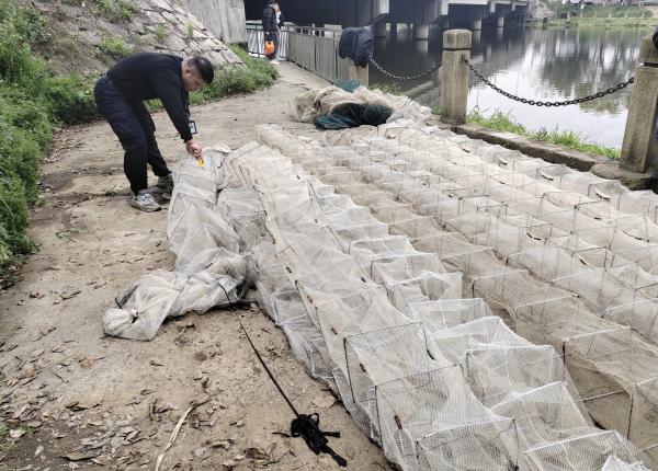 1小时后,当渔政执法人员来到现场时,捕鱼人已不知所终,只留满河的地笼