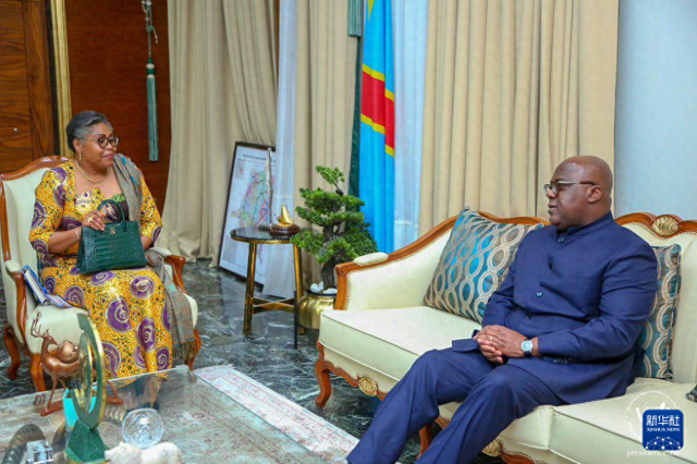 4月1日，在刚果（金）首都金沙萨，总统齐塞克迪（右）接见新任总理图卢卡。新华社发（刚果民主共和国总统府供图）