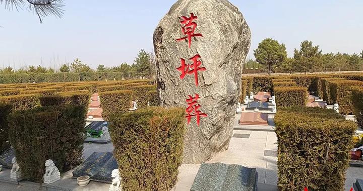 树葬、草坪葬、壁葬……关于生态葬你了解多少？|大同市|山西省|环保|公墓|逝者_新浪新闻