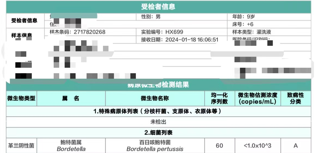 灌洗液ngs报告:百日咳鲍特杆菌感染;结果与主任判断相符,为近几十年来
