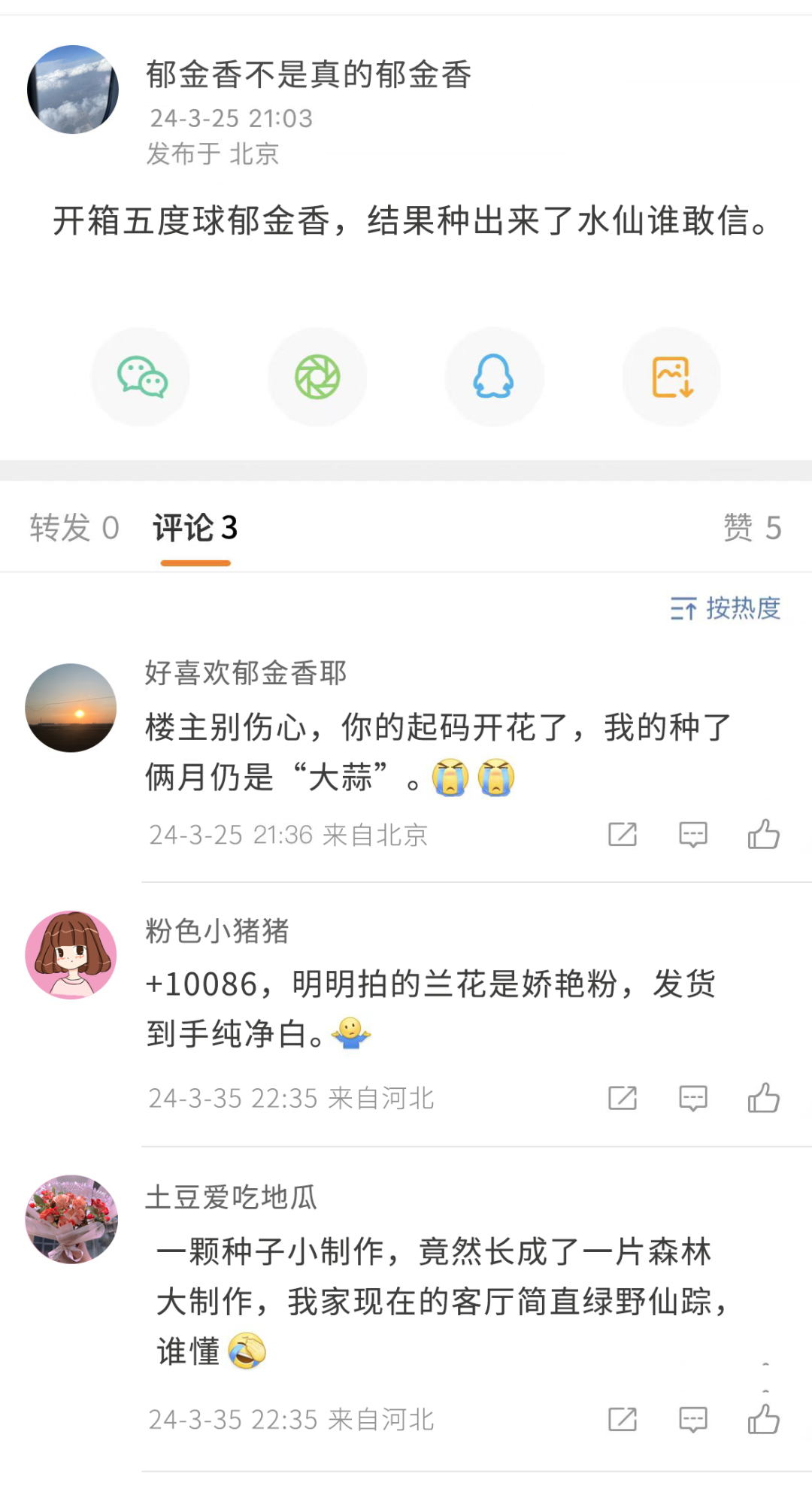 罂粟_新浪财经_新浪网