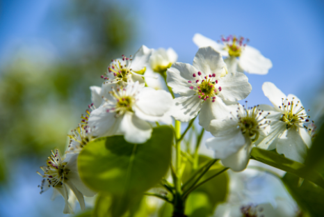 就在本月这抹春日里的白月光不容错过