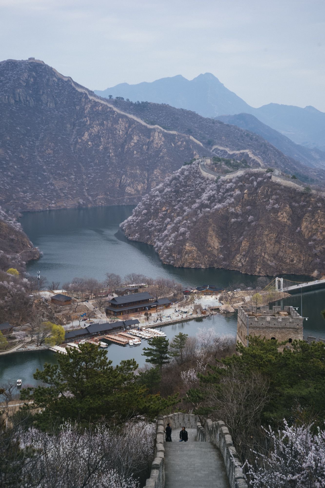 清明假期,邂逅水长城山花烂漫