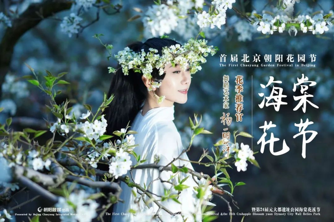 花中贵妃北京朝阳海棠花观赏指南来了