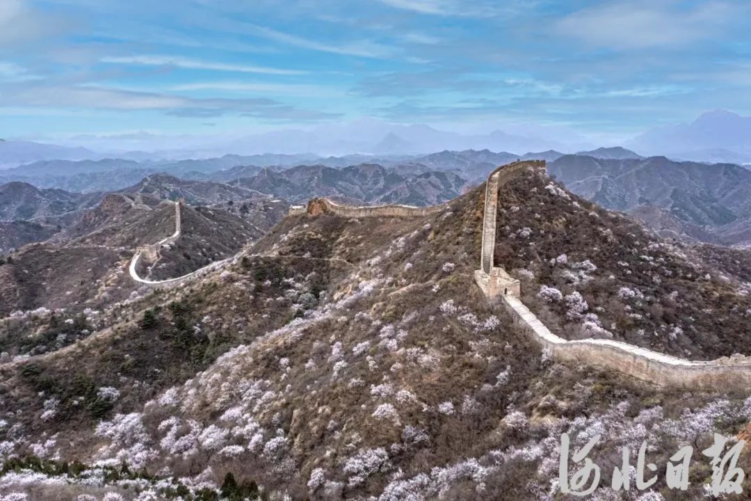喏,都给你准备好了……|河北省_新浪财经_新浪网