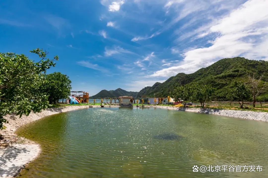 梨花盛放平谷镇罗营镇许你一场春季的浪漫打卡平谷最美赏花地②